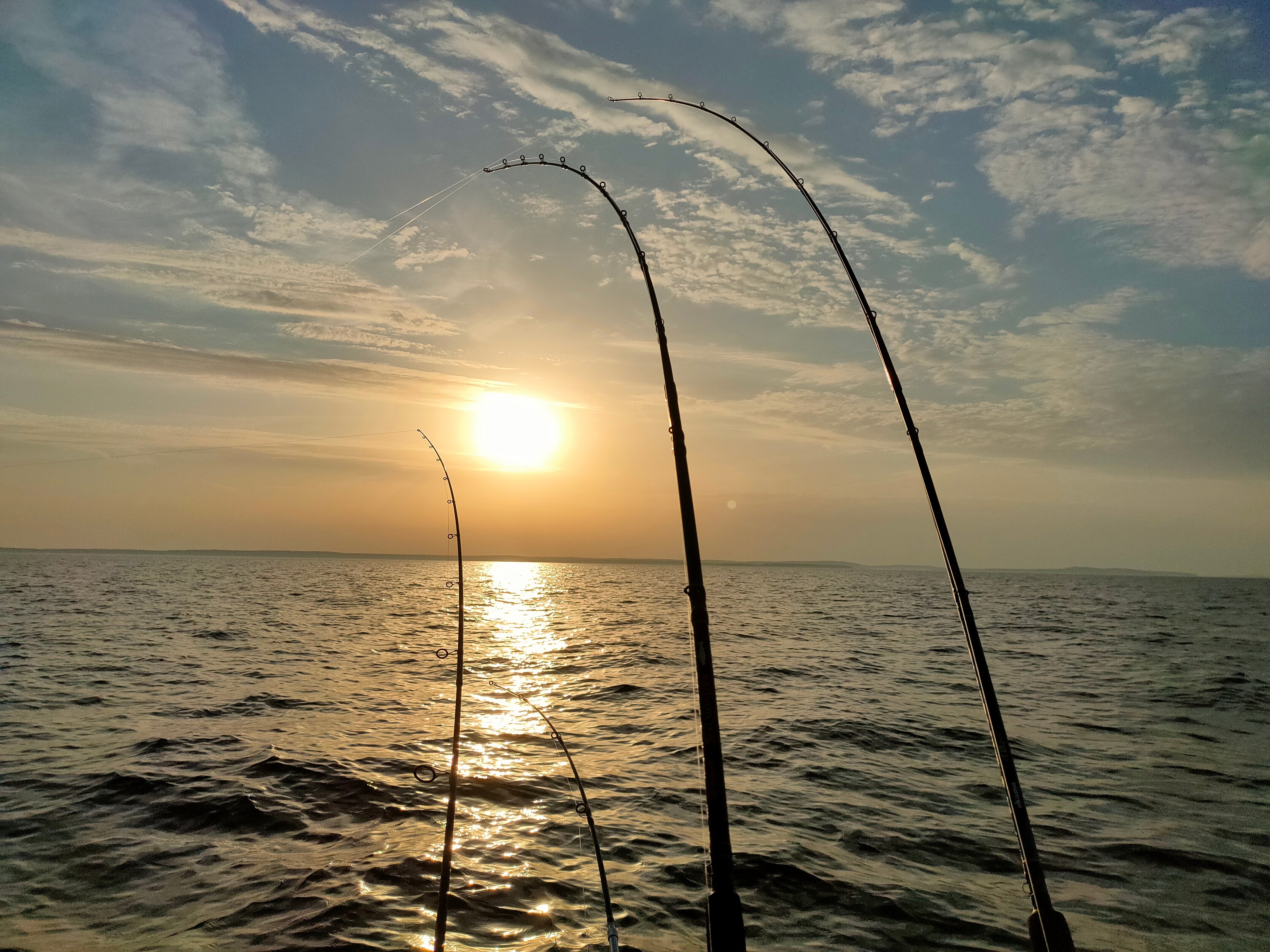 Фото Турбаза Сегозеро