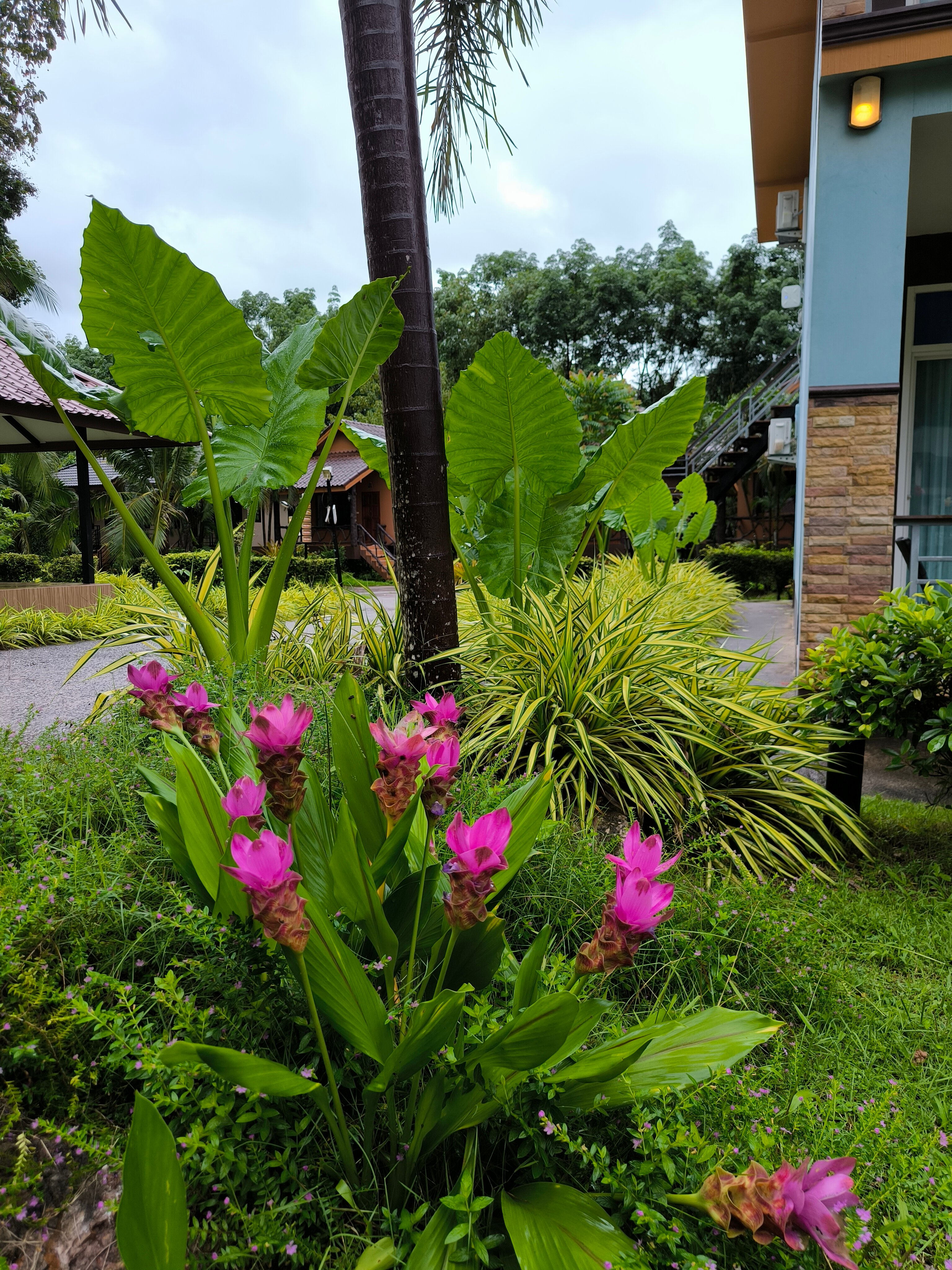Фото Andakira Hotel Patong