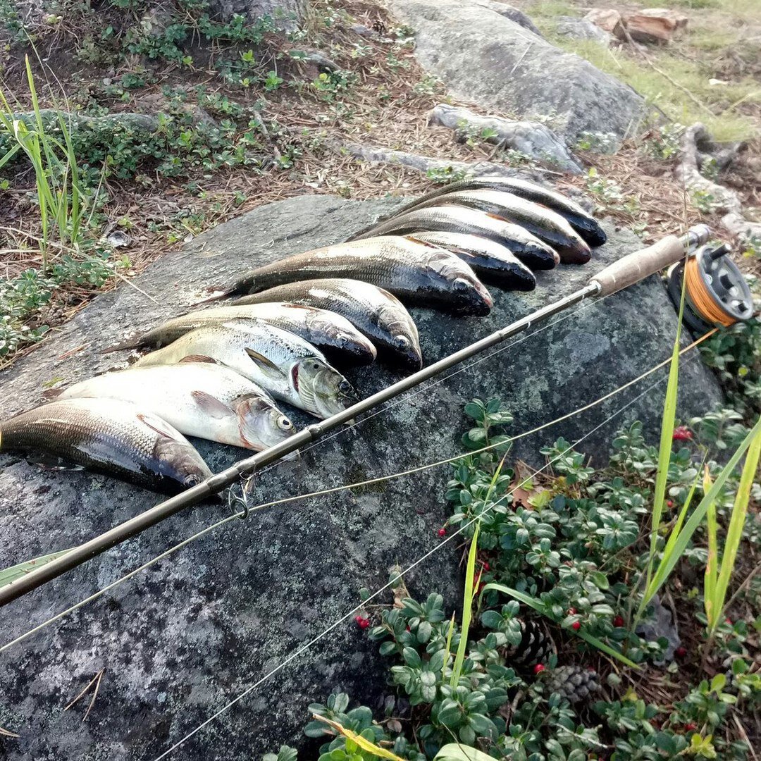 Фото Перекат