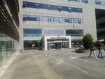 Pendik District Governorship Agriculture and Forestry Directorate (İstanbul, Pendik, Doğu Mah., Nevbahar Sok., 4), administration