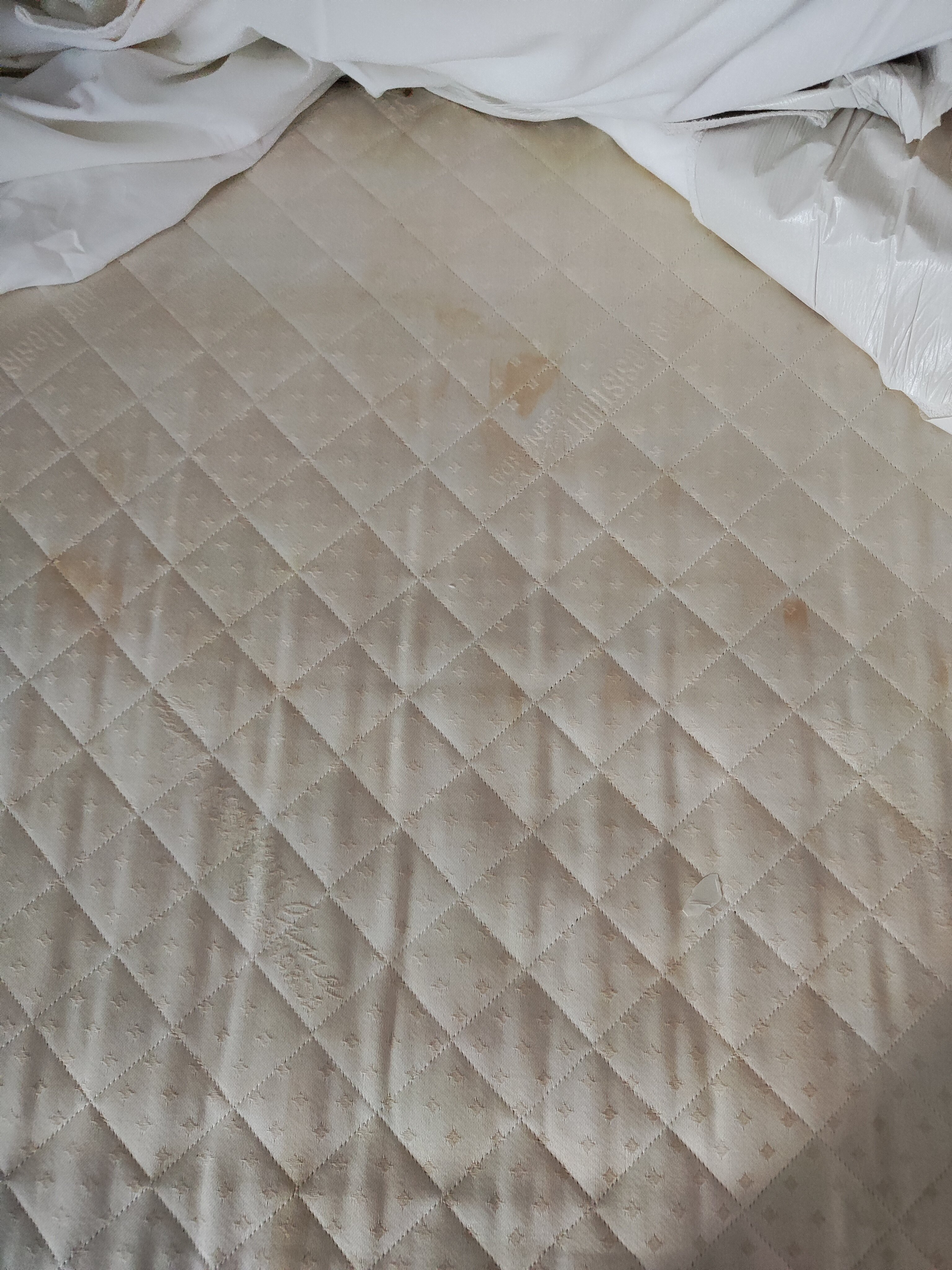 Фото Slovenska Plaza