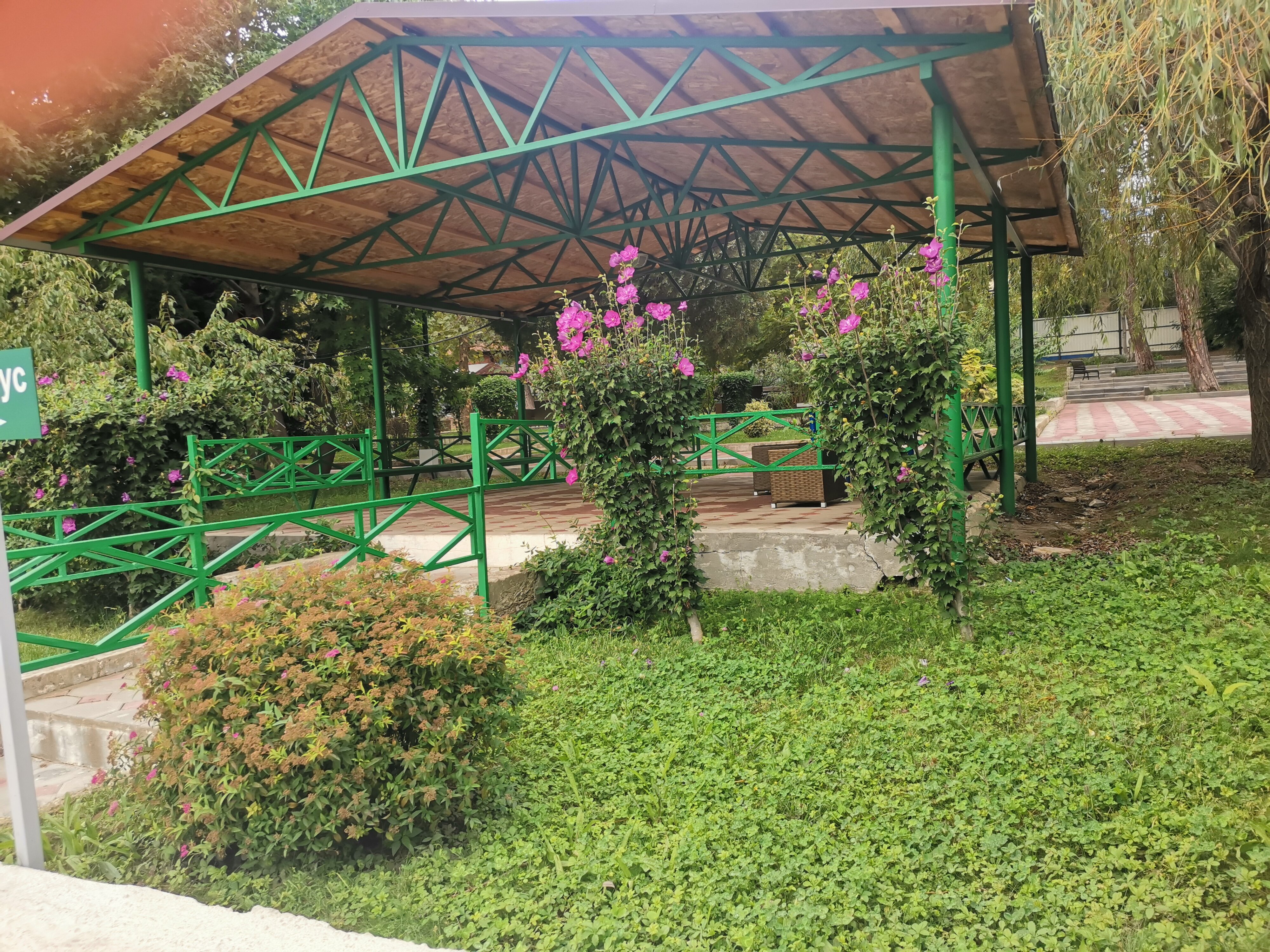 Фото Мореин