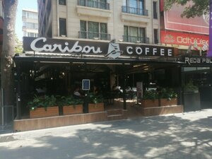 Caribou Coffee (Ankara Province, Cankaya District, Karanfil Street, 27A) ، مقهى