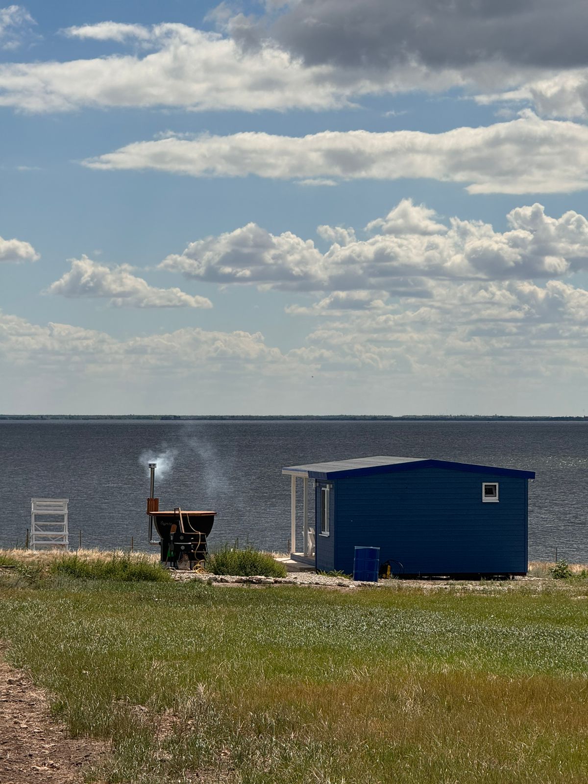 Фото Полынь