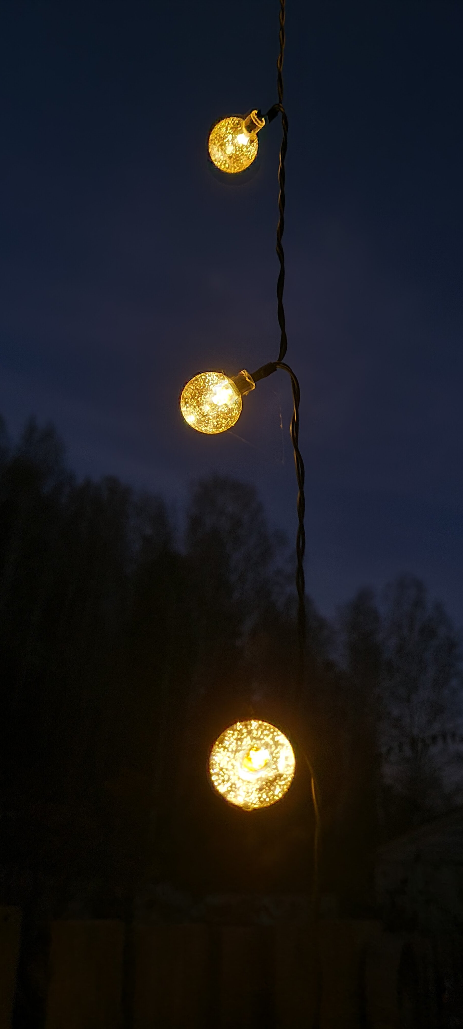 Фото Глэмпинг Стрекоза