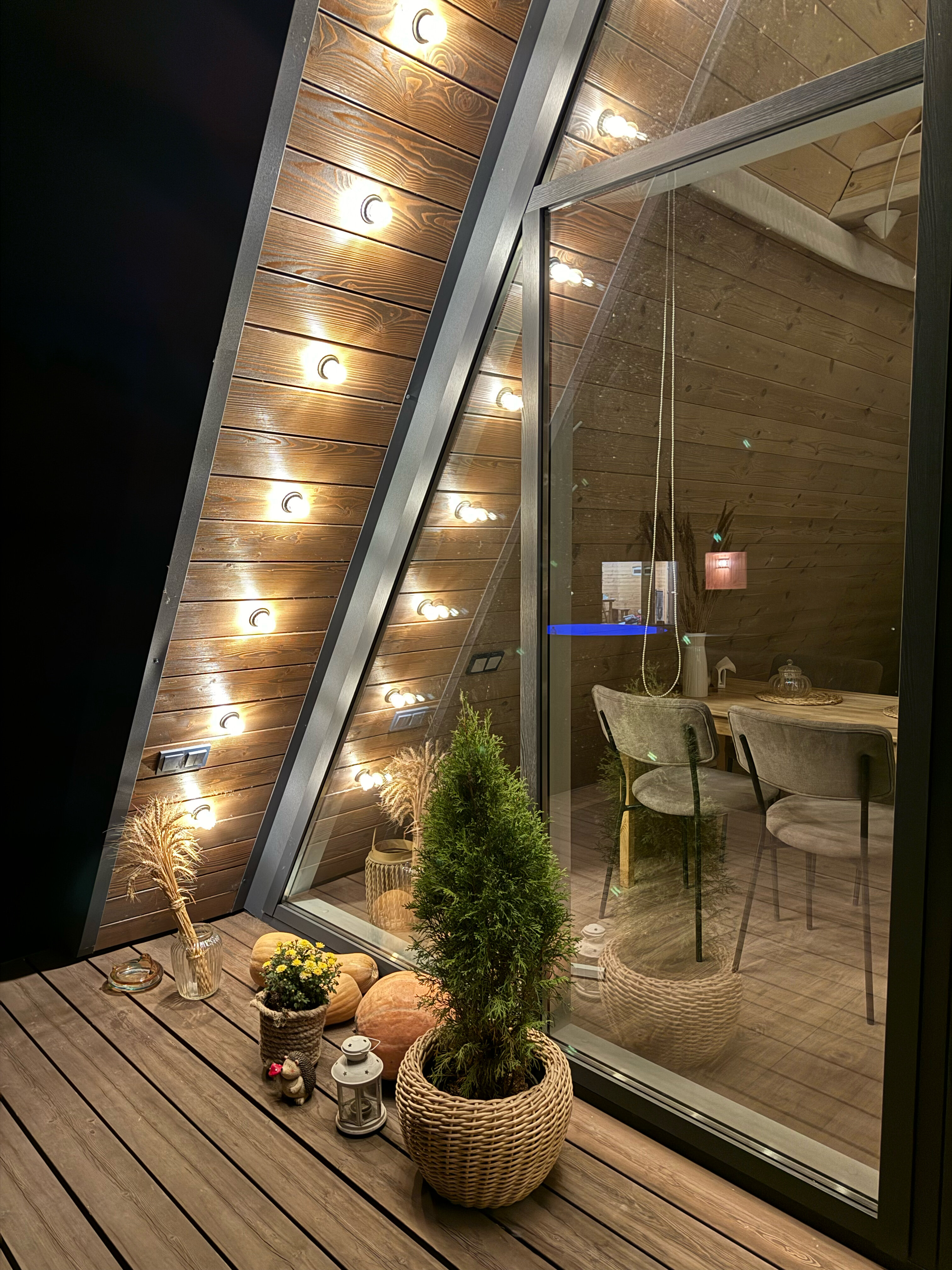 Фото Камыши