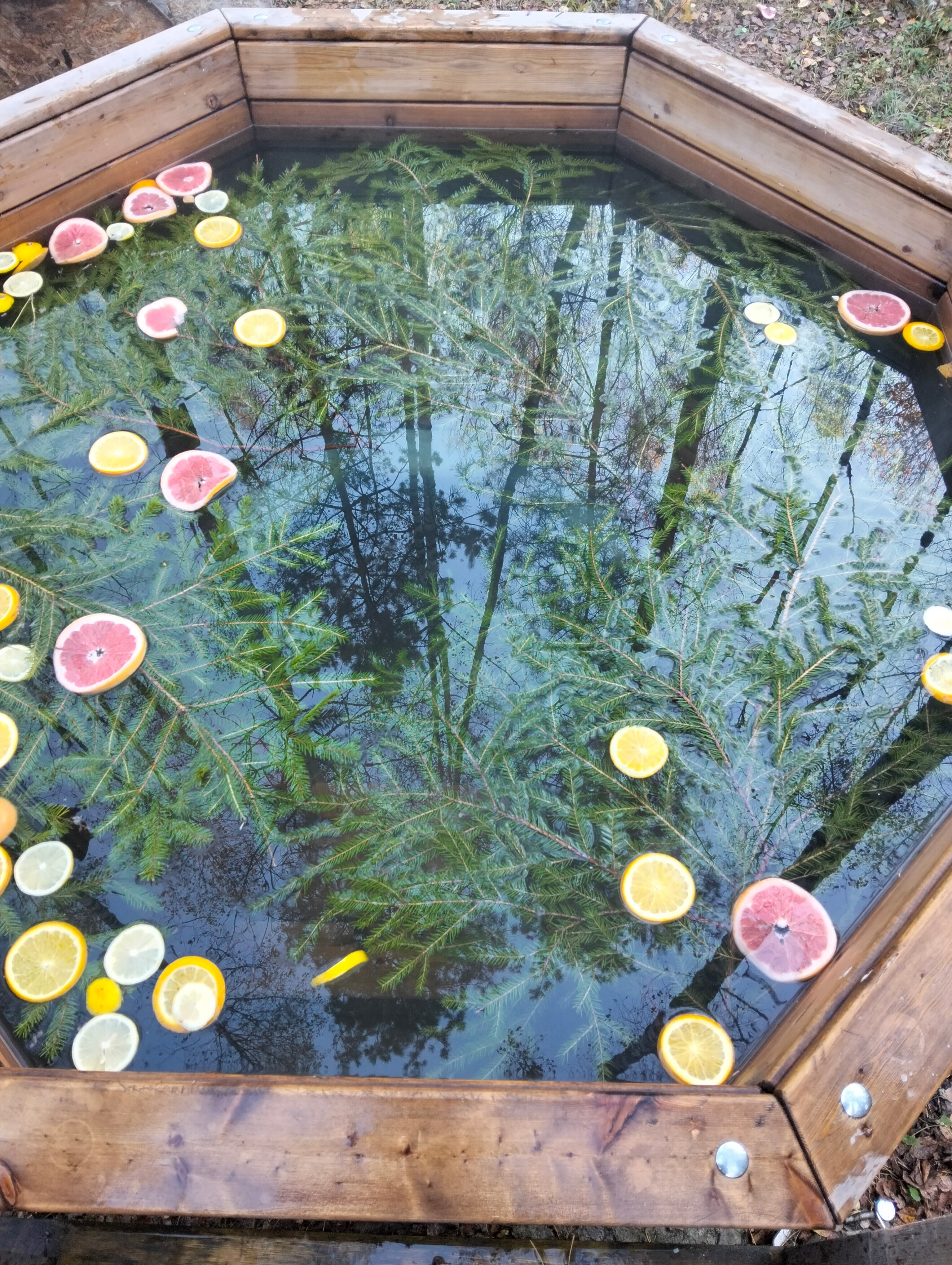 Фото Лесная сказка