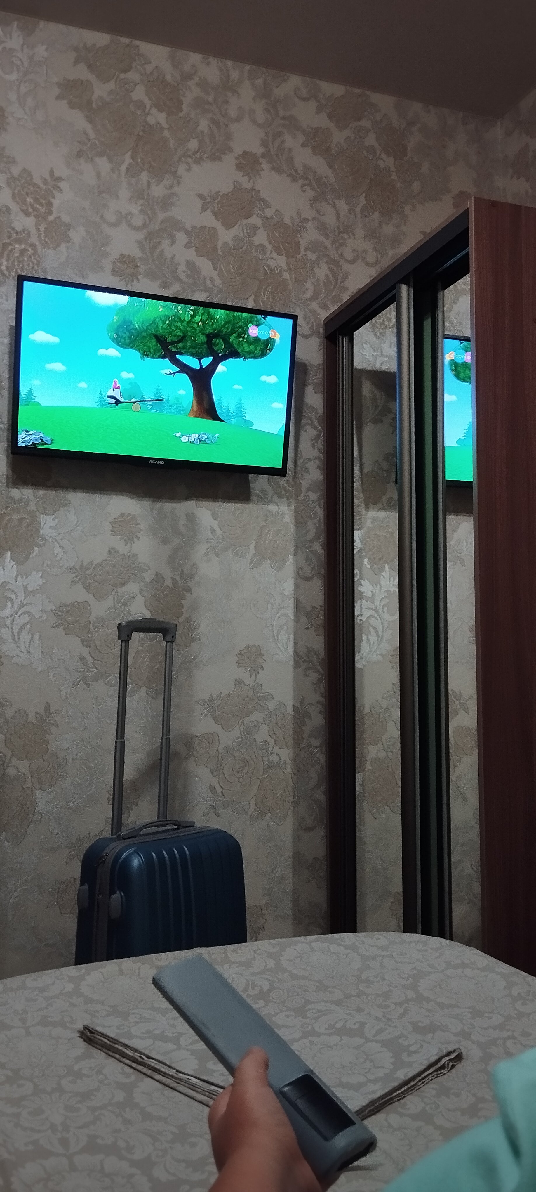 Фото Стефания