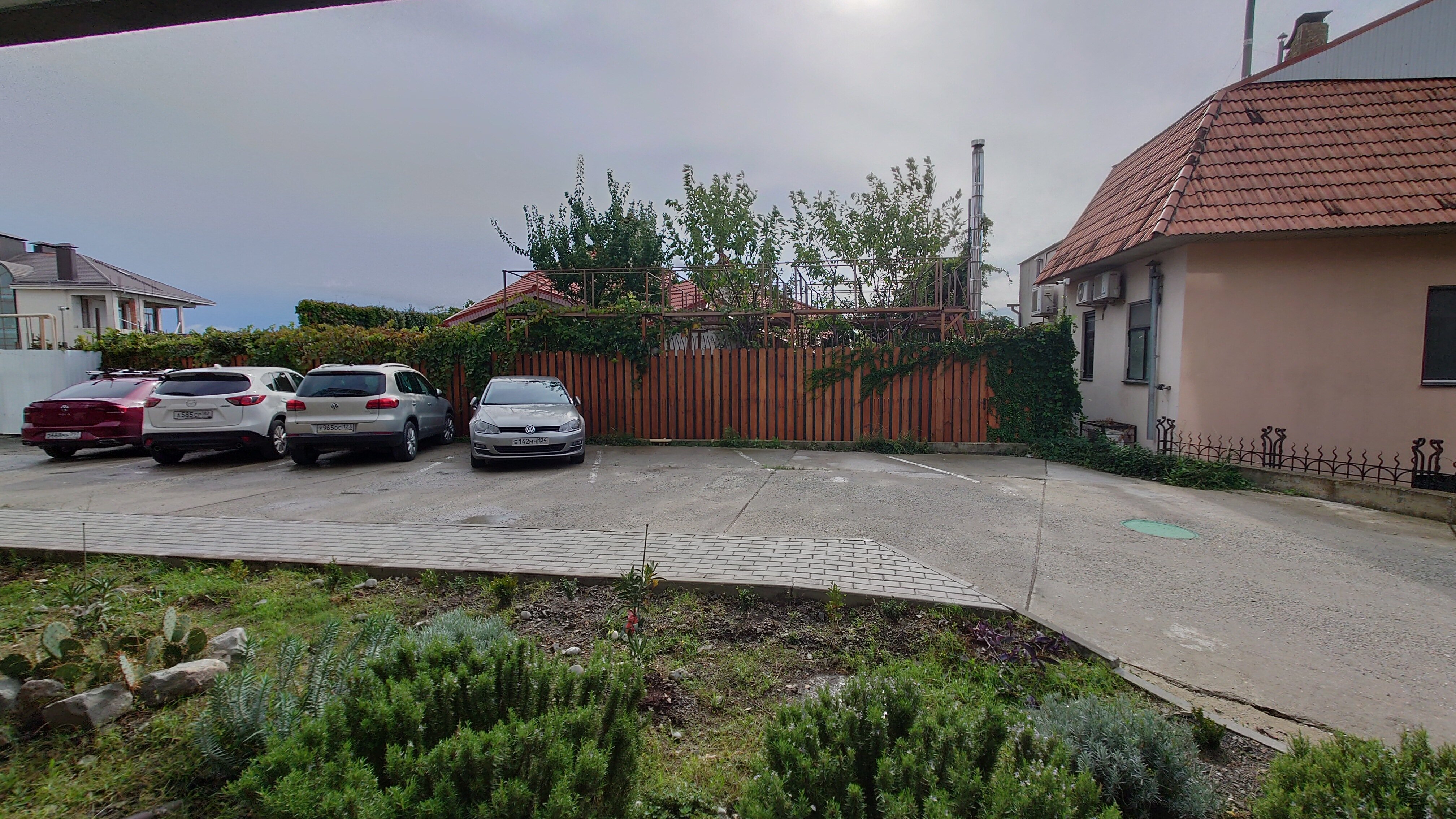 Фото Рапана