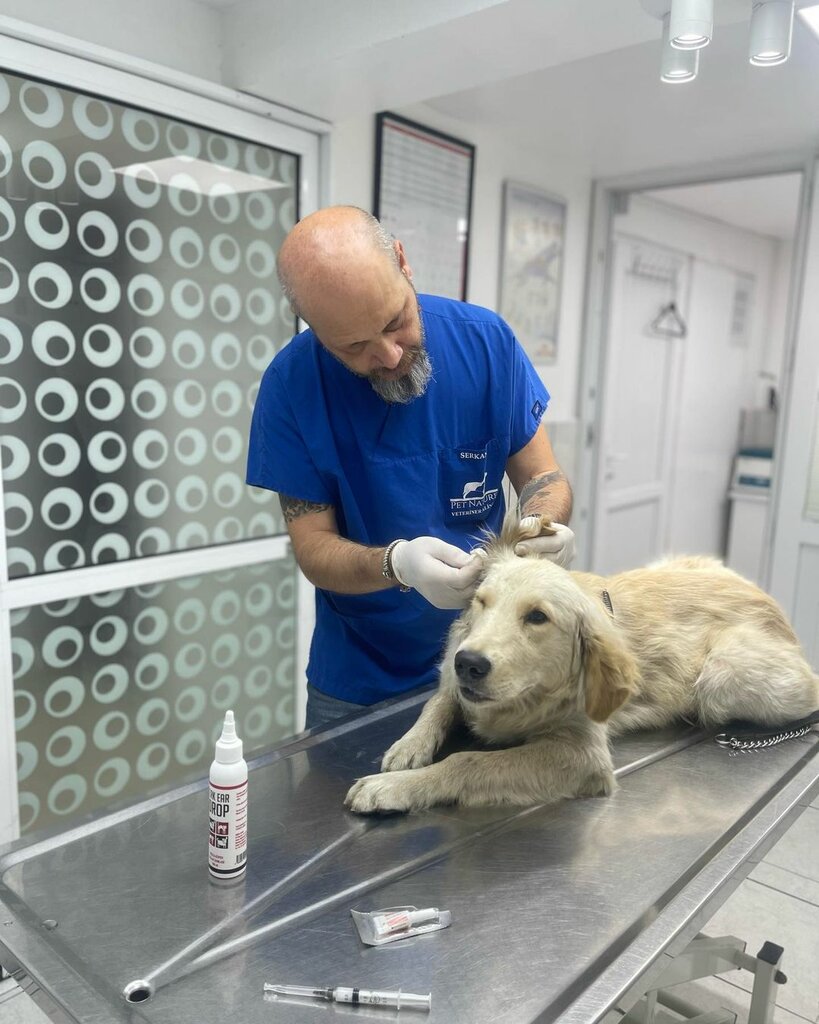 عيادة بيطرية Pet Nature Veterinary Clinic ، اسطنبول، صورة