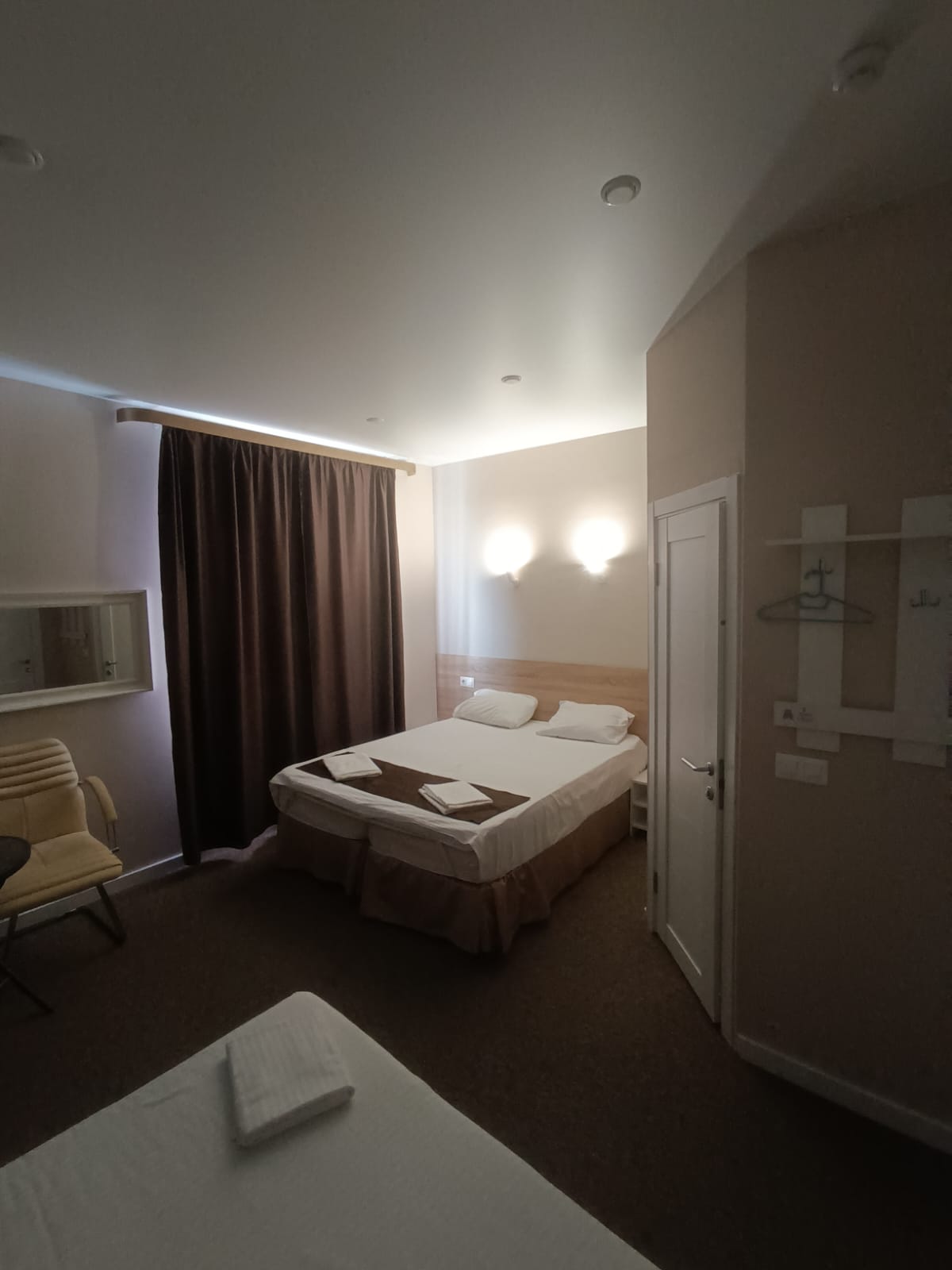 Фото Сова в Шереметьево