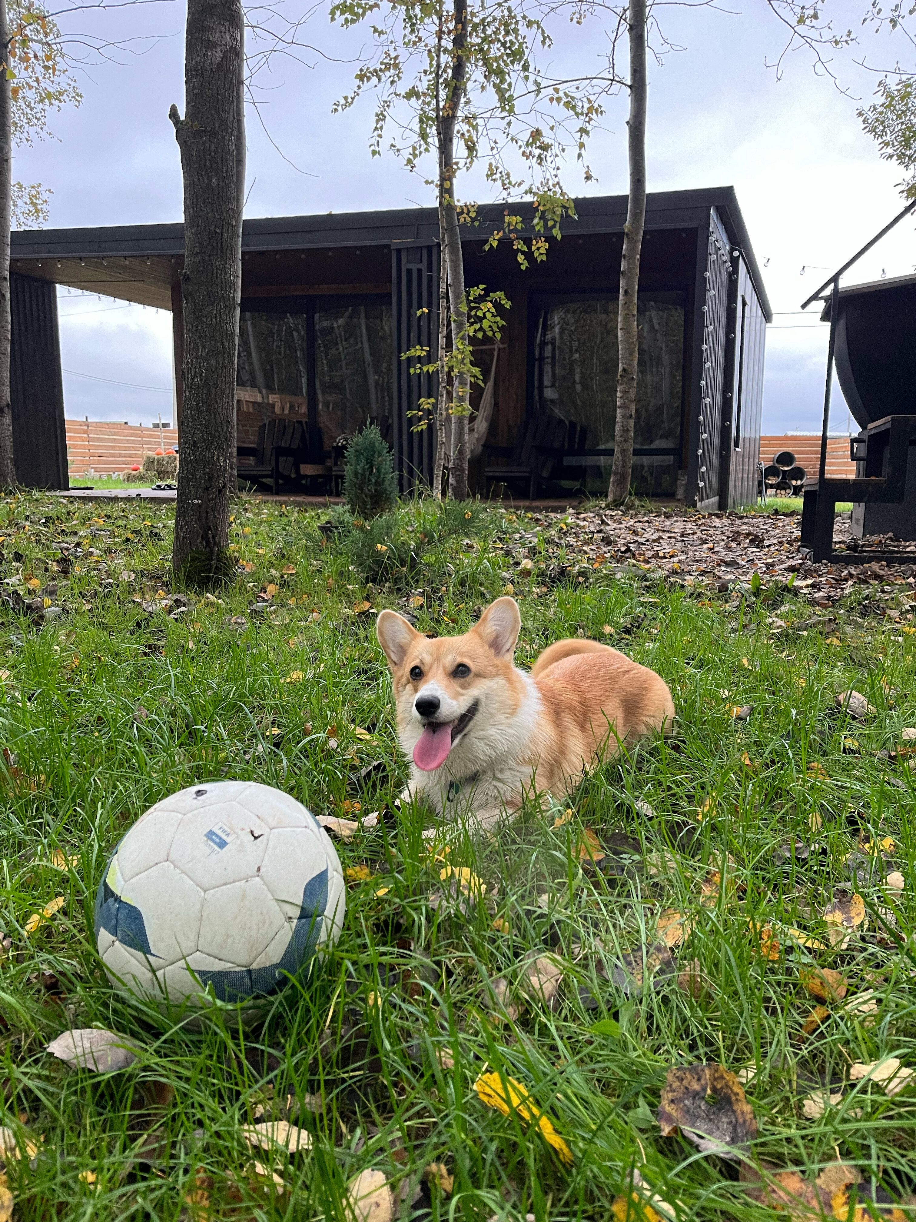 Фото Лофт Стефана