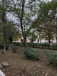 Центральная районная больница, родильное отделение (посёлок городского типа Красногвардейское, улица Тельмана, 11), departamento del hospital