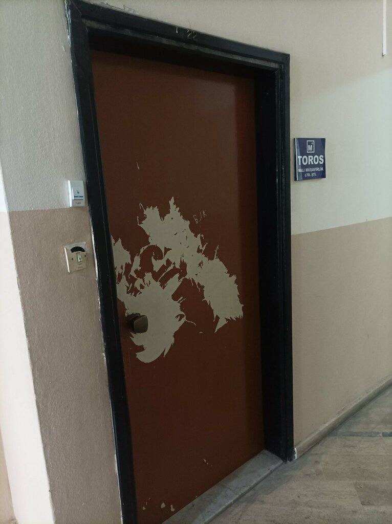 Tax consultants Toros, Antalya, photo