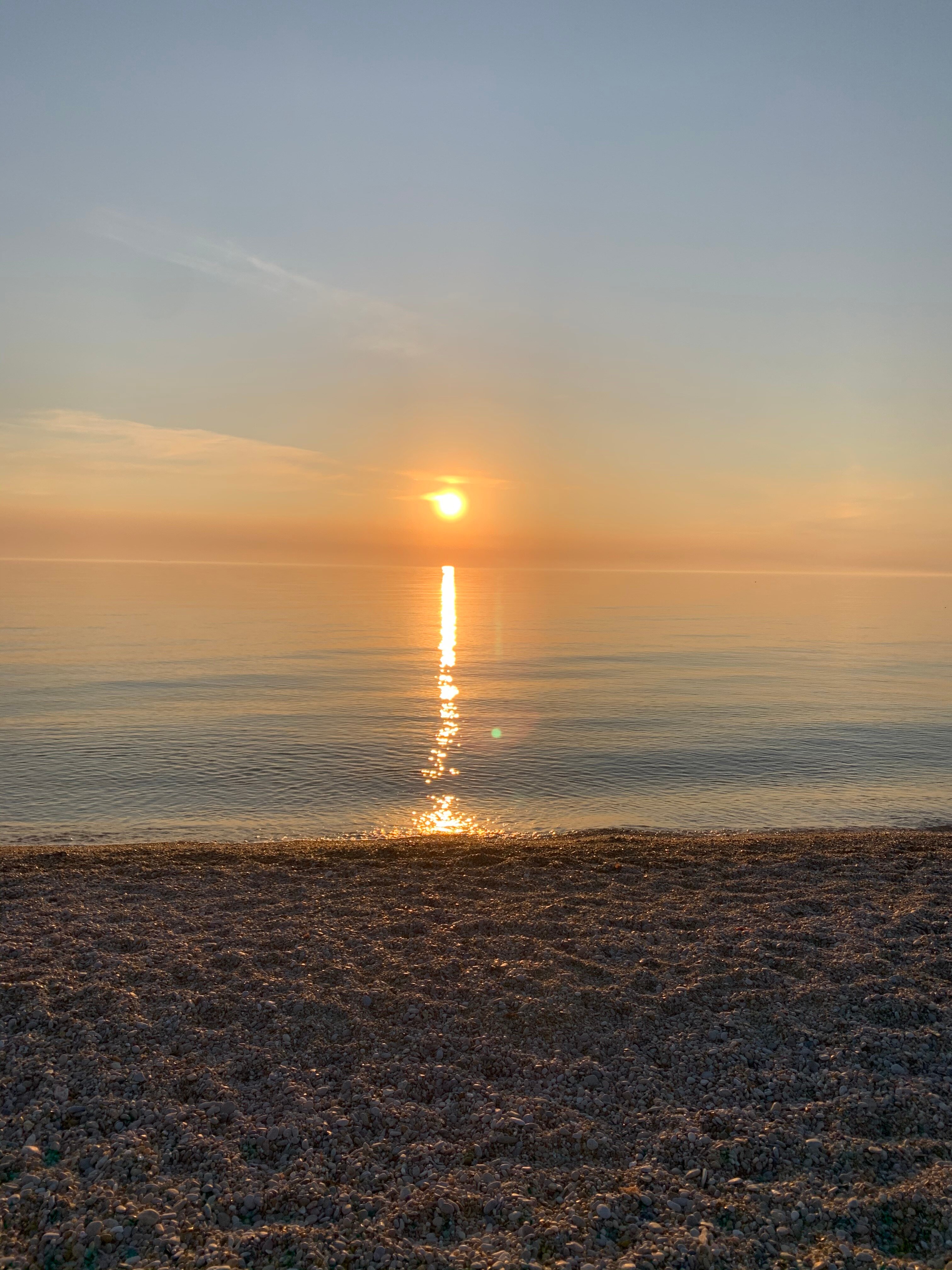 Фото Морелюб