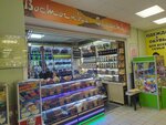 Восточные сладости (Moskovskaya Street, 100), nuts, snacks, dried fruits