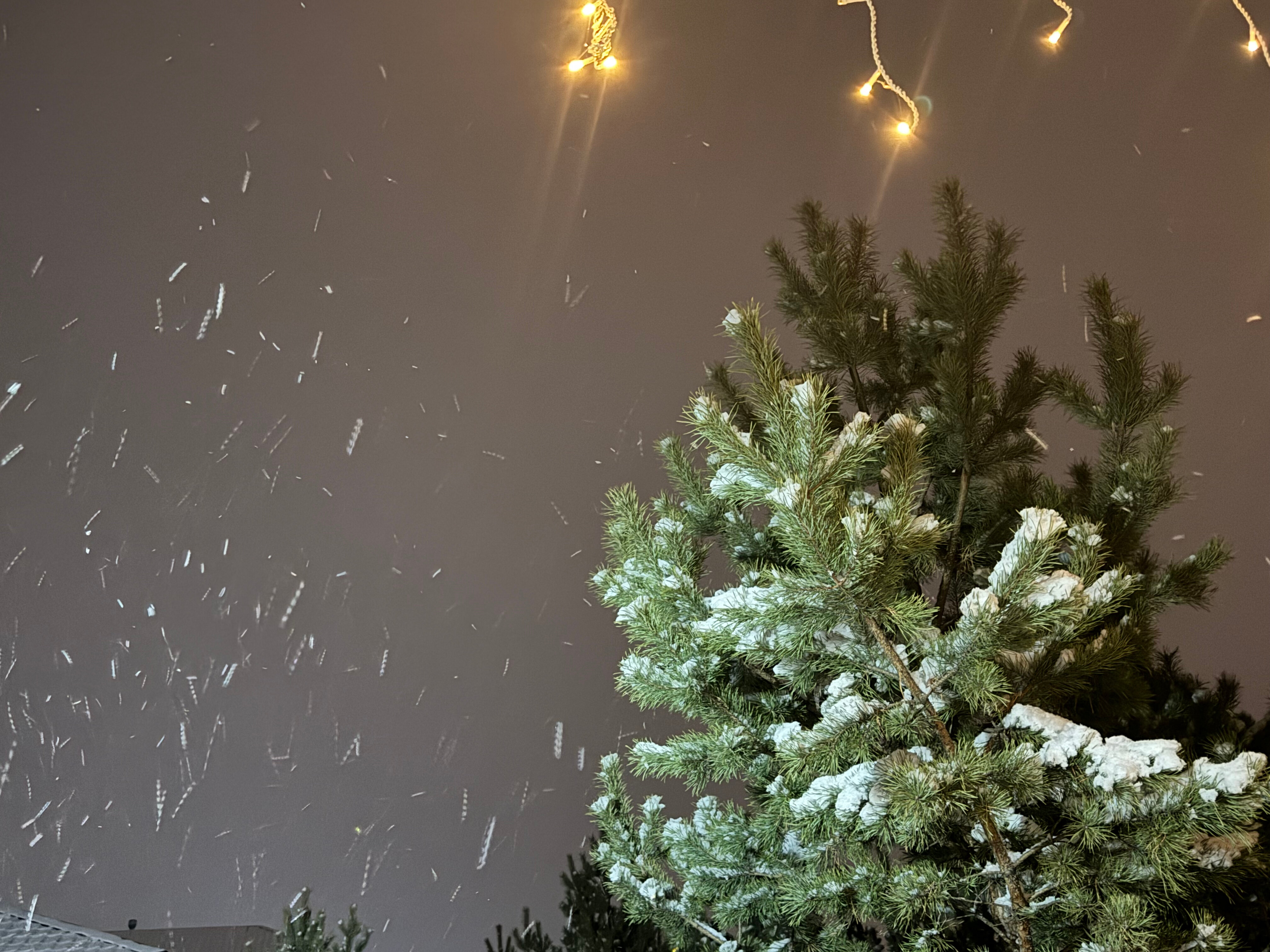 Фото Гранд Парк