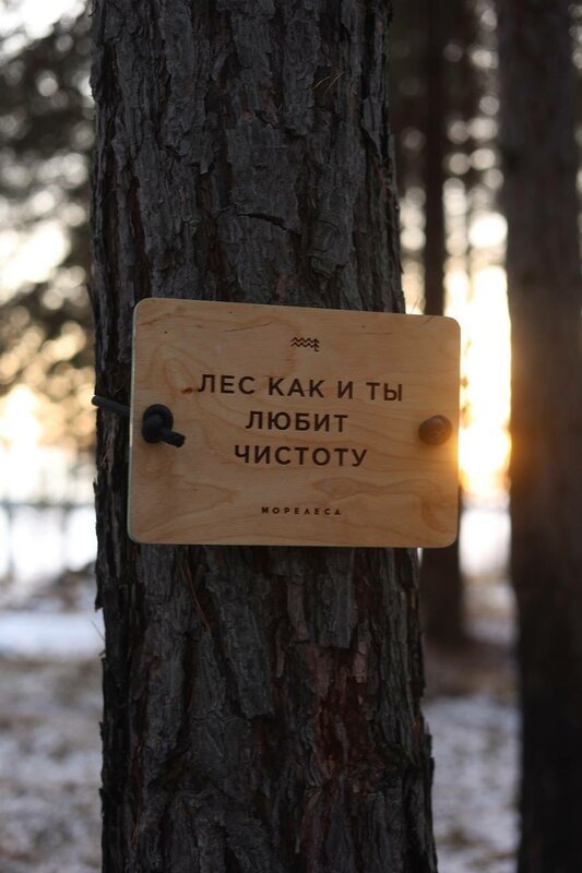 Морелеса — фото 27