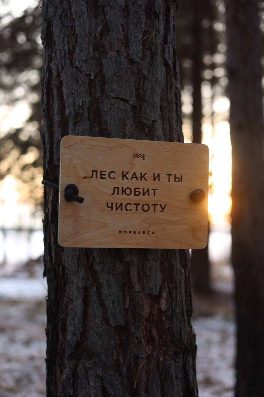 Фото Морелеса