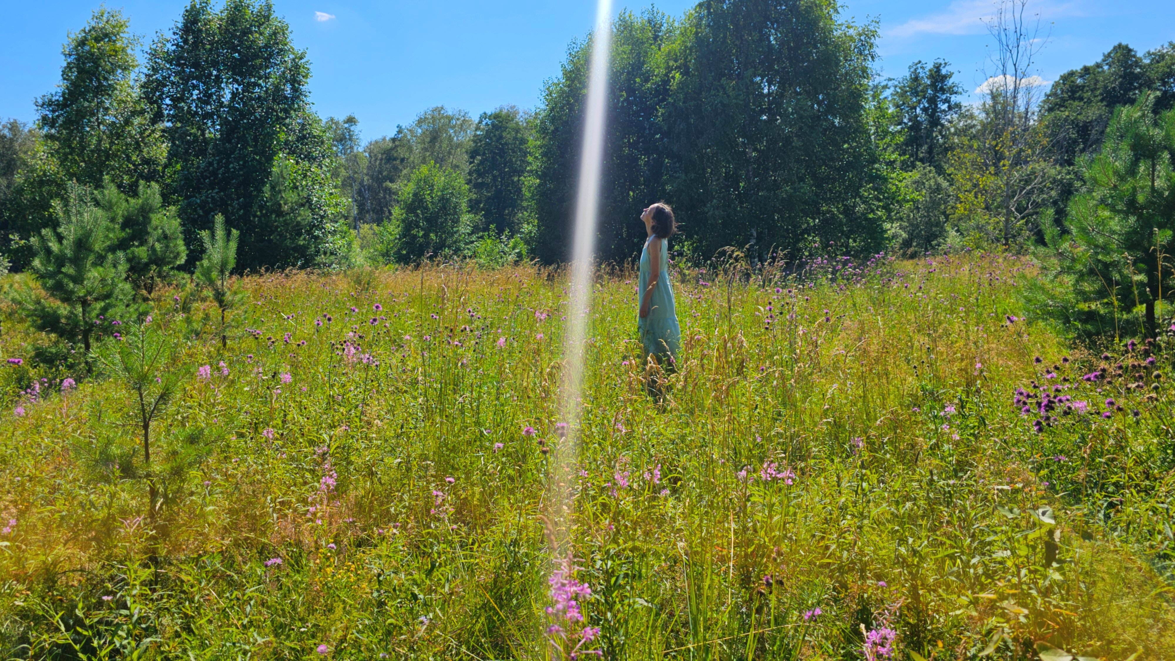 Фото Олин лес