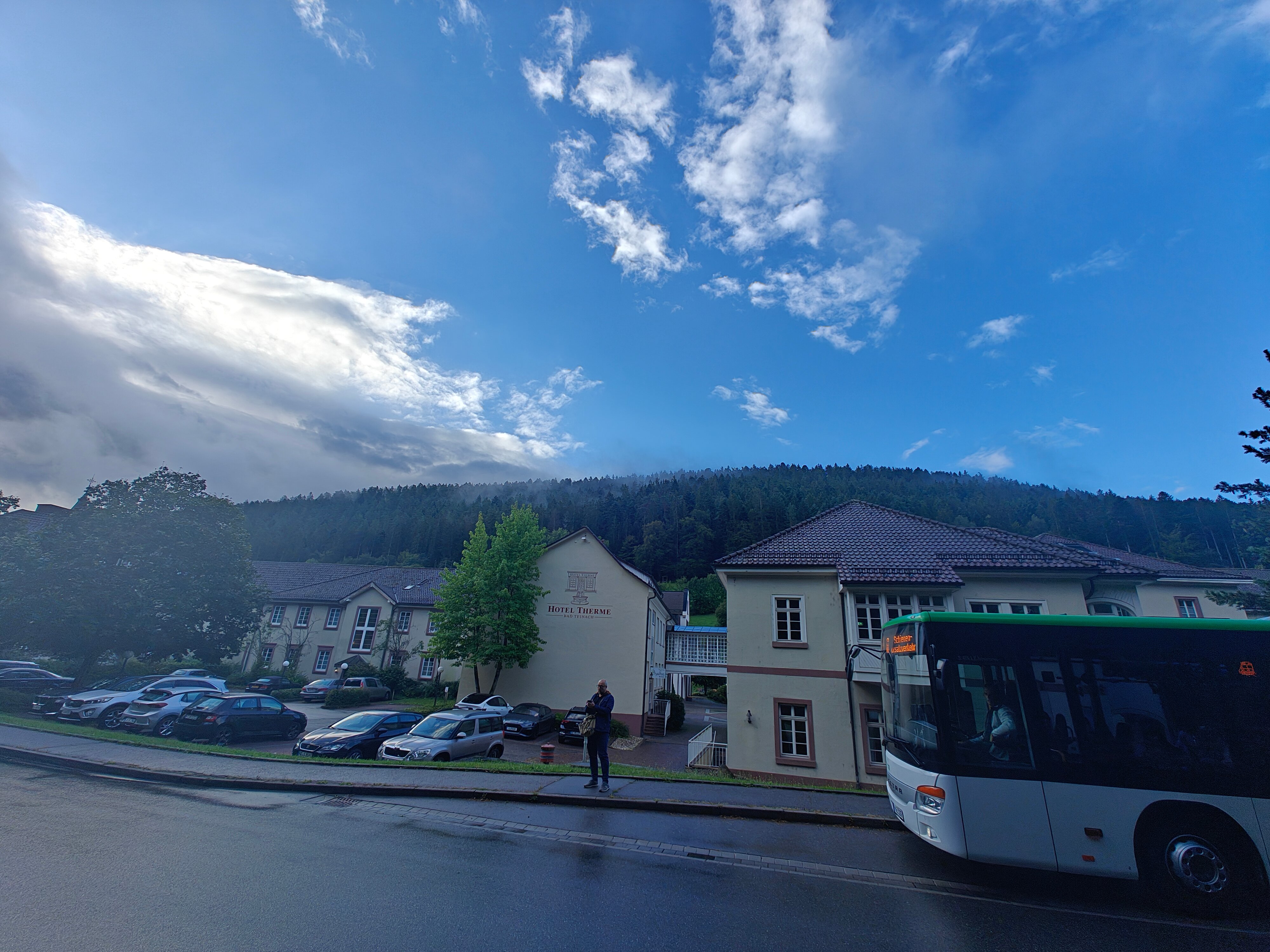 Фото Hotel Therme Bad Teinach