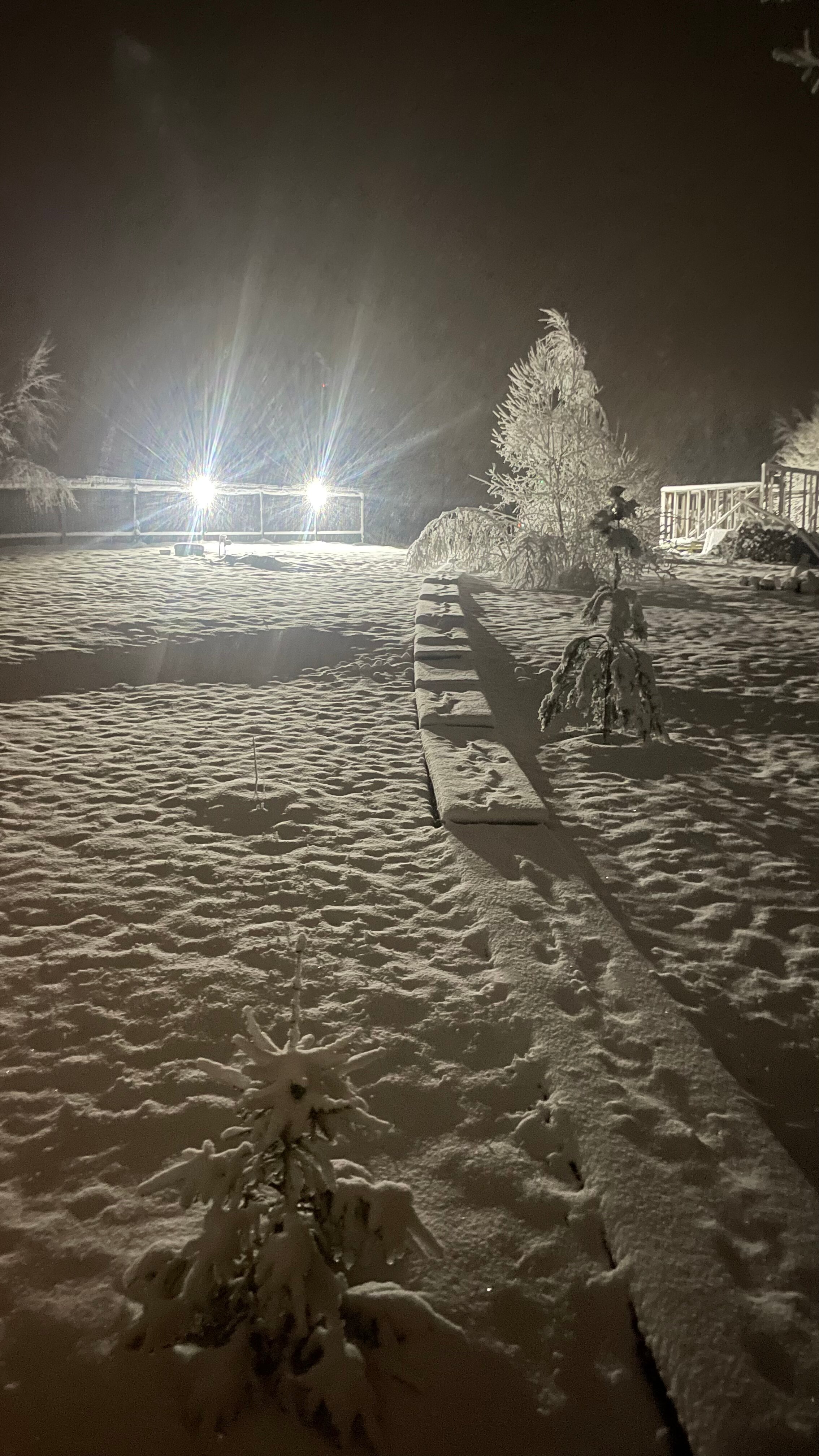 Фото Ильинка лес