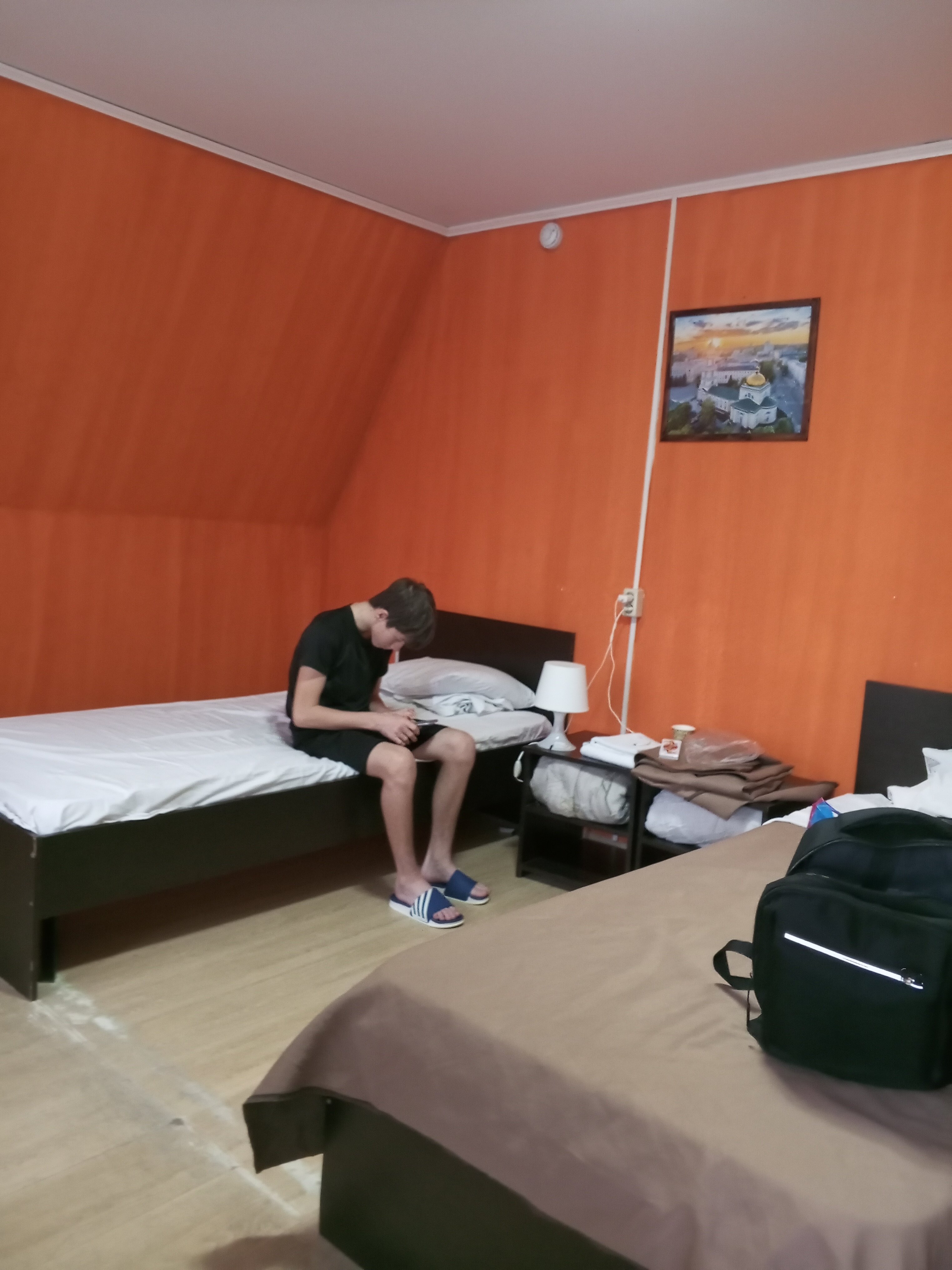 Фото Базилик