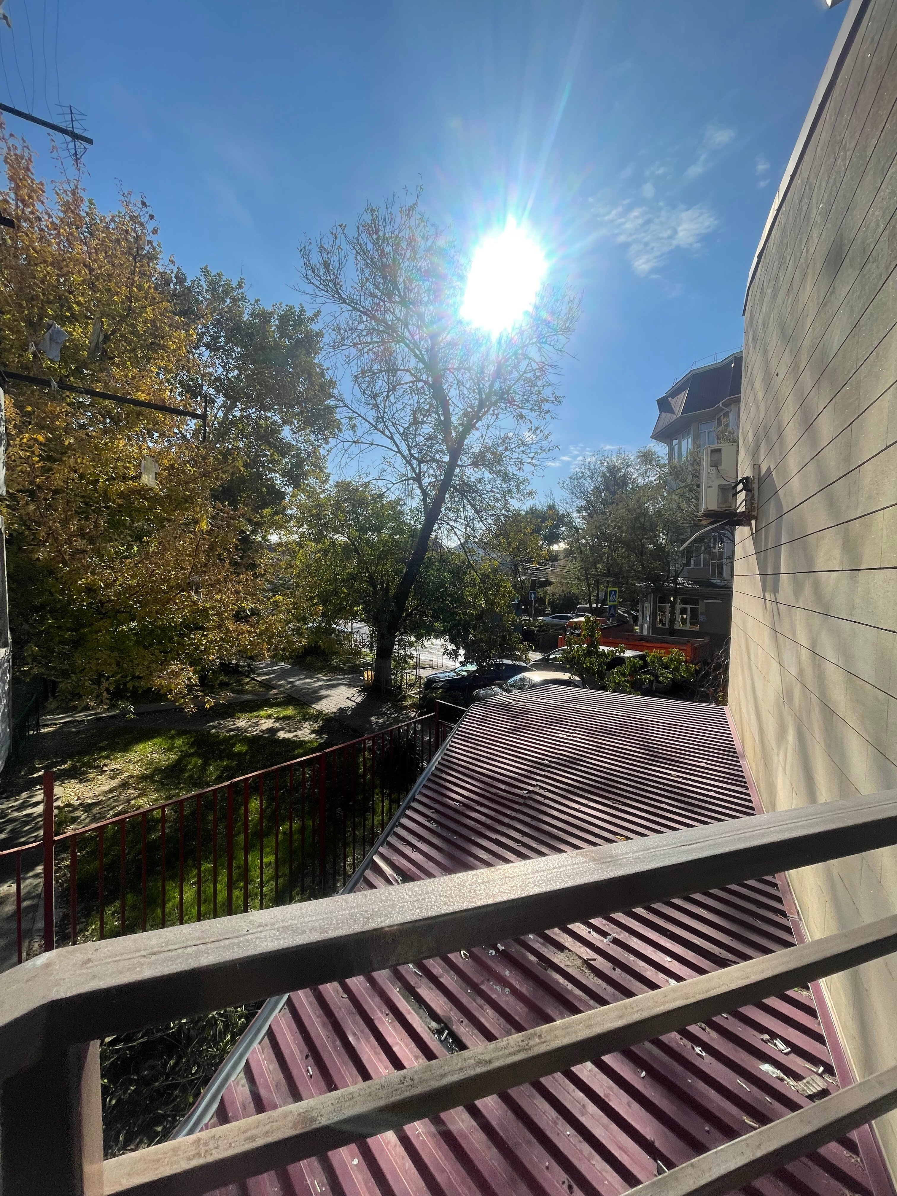 Фото Ракушка