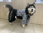 GlamGlam (Fizkulturnaya Street, 123), pet shop