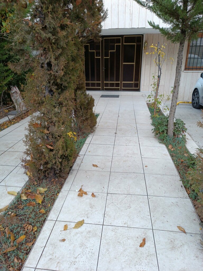 Business consulting Pglobal Global Advisory And Training Services, Ankara, photo