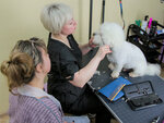 Nash Groomer (Suzdalskiy Avenue, 26А), pet salon