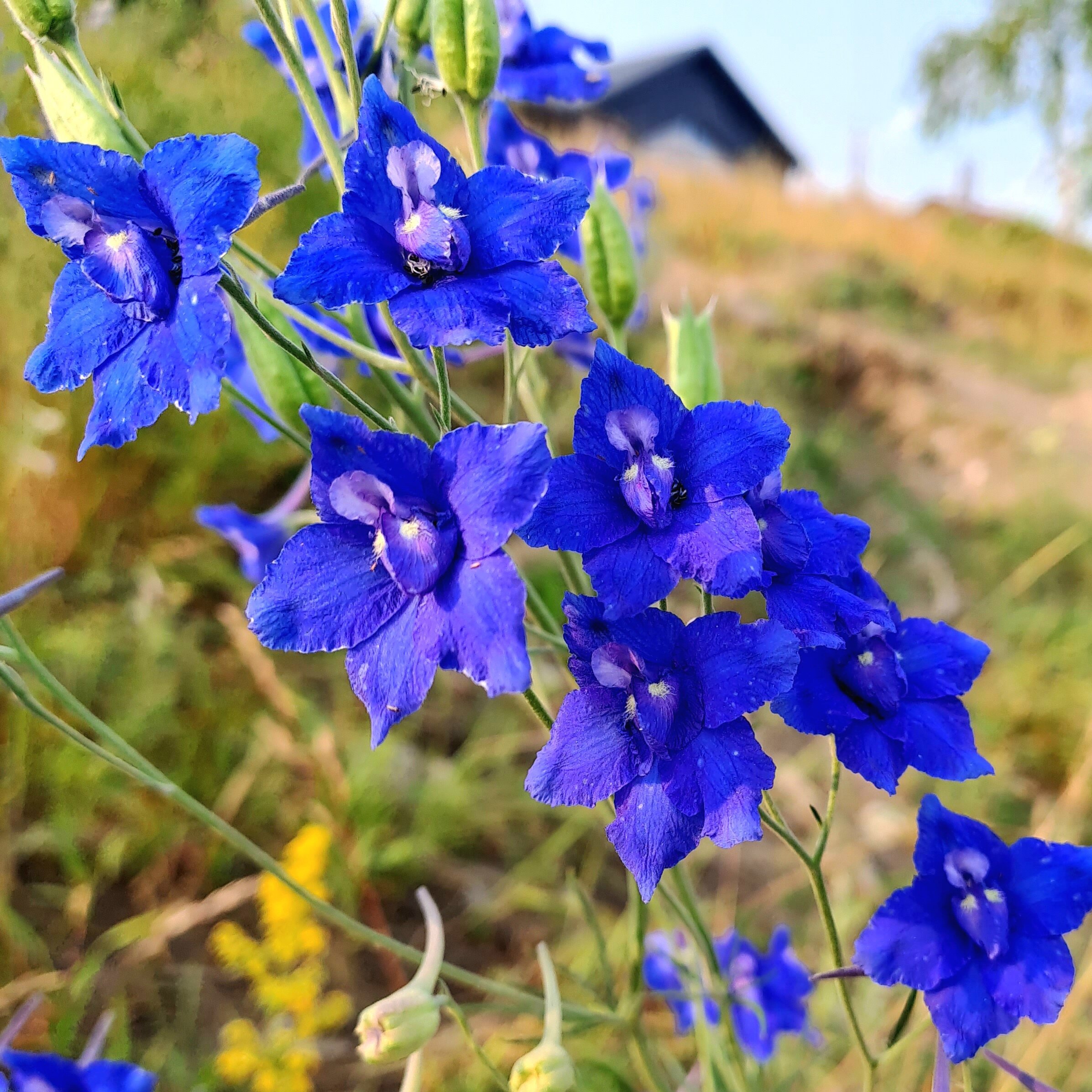 Фото Ленские столбы