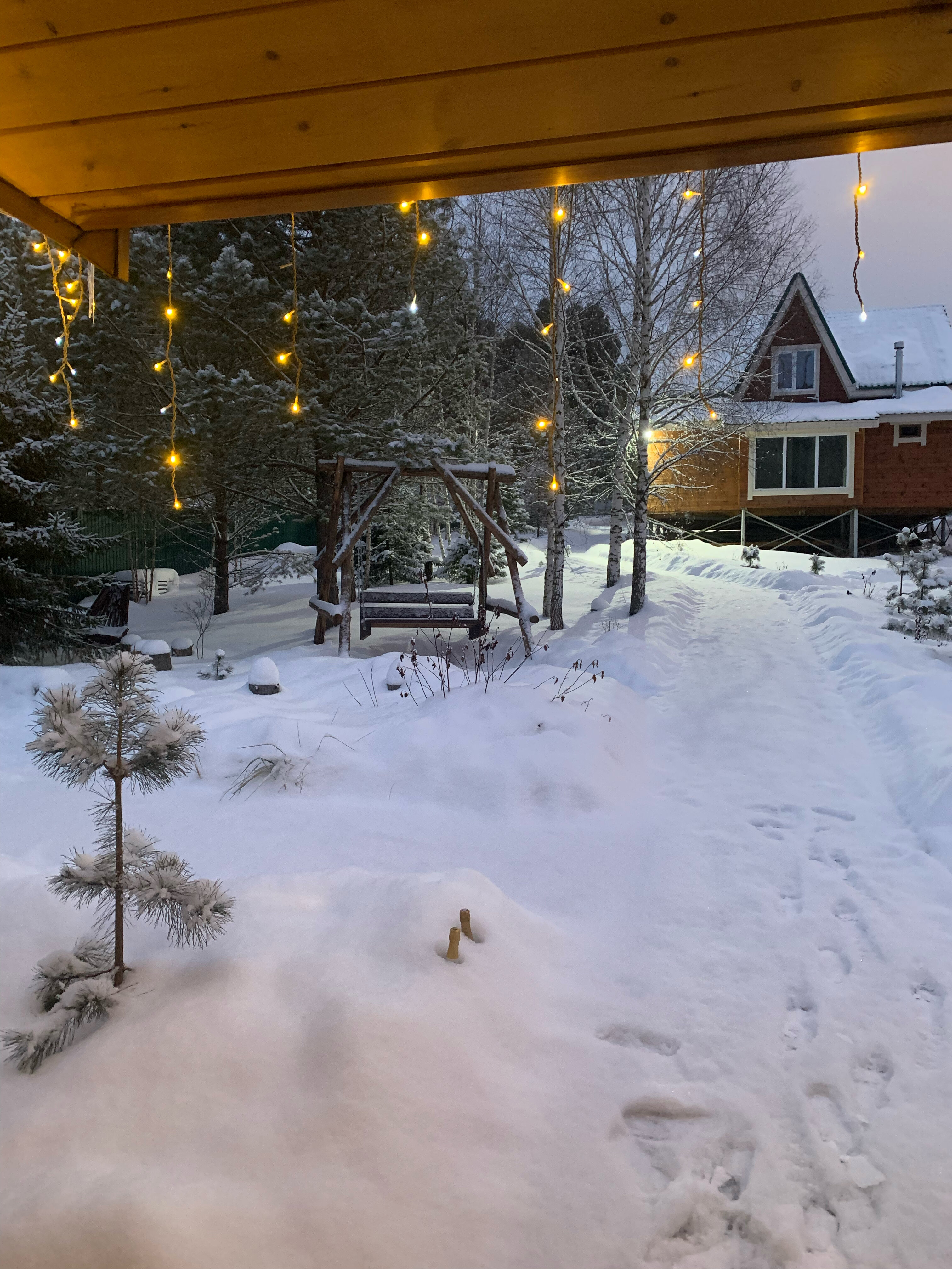 Фото Дух Леса