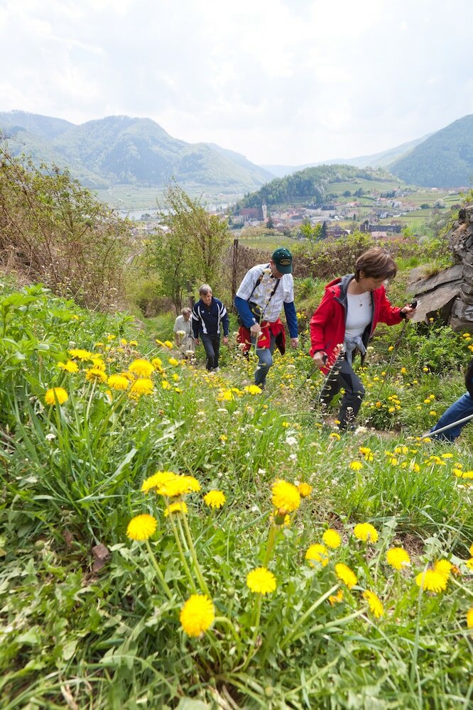 Фото Hotel Stadt Melk