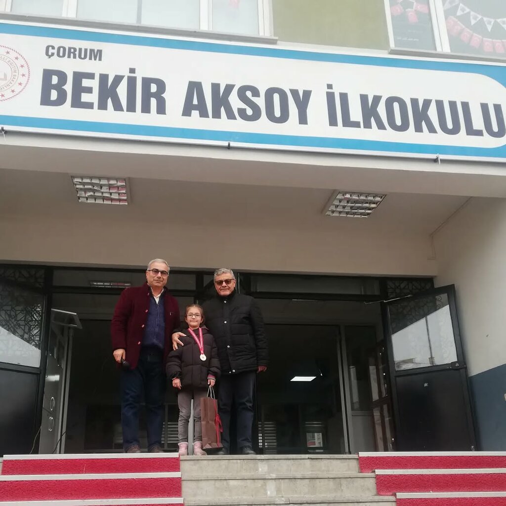 Primary school Bekir Aksoy Primary School, Corum, photo