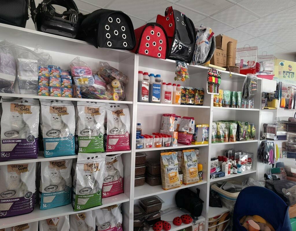 Veterinary clinic Sagvet Veterinary Clinic, Sorgun, photo