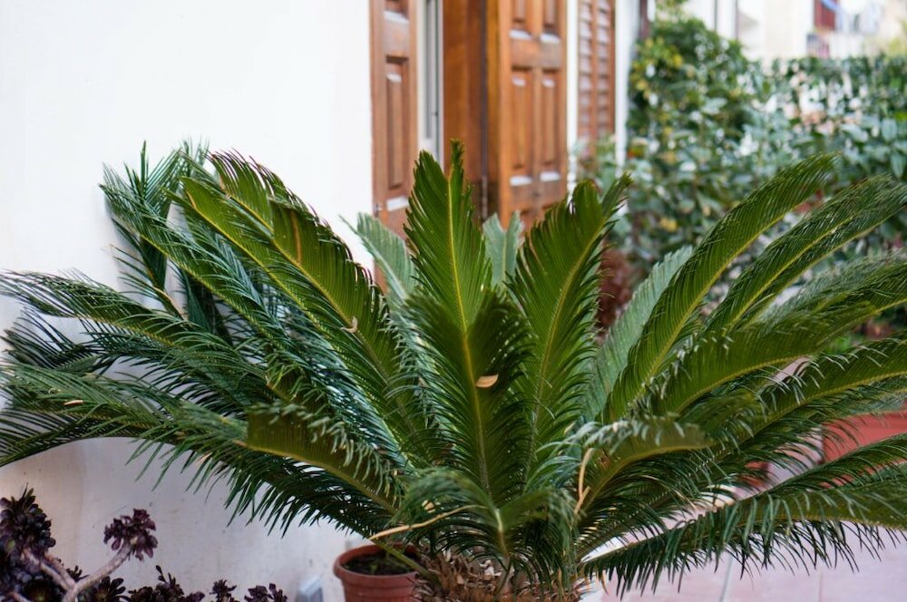 Фото B&b Gennaro