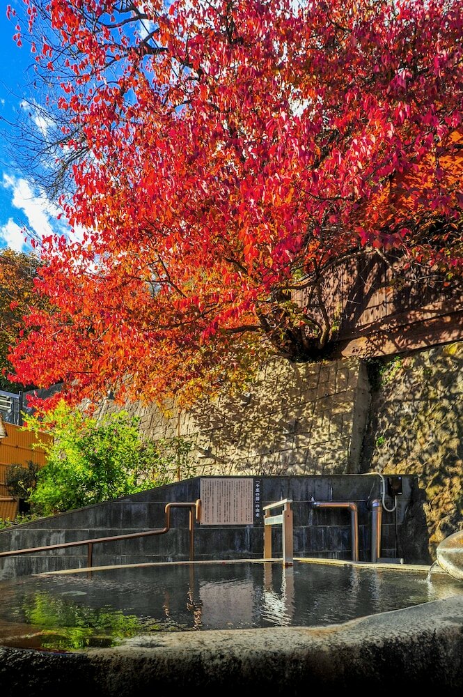 Фото Akayu Onsen Gotenmori