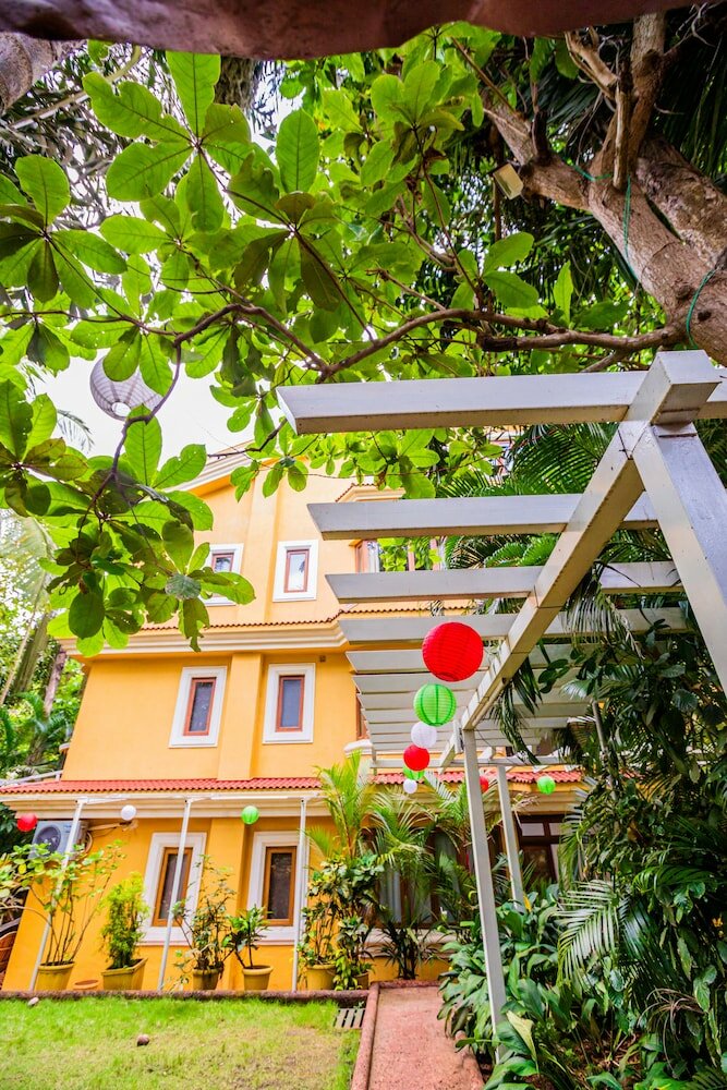 Фото Bougainvillea Guest House