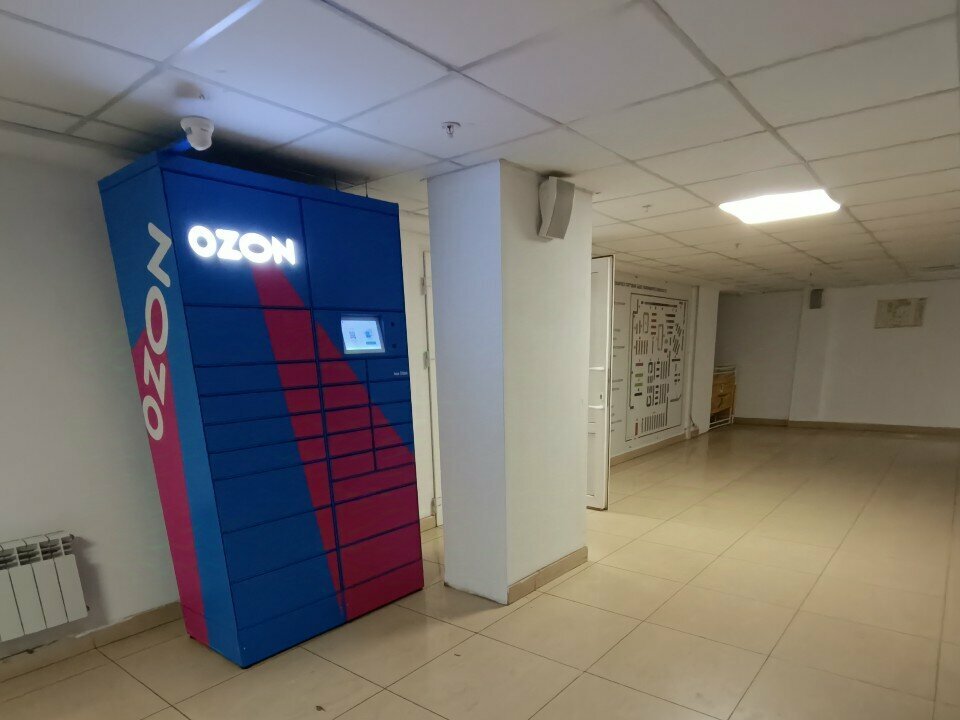 Parcel automat Ozon Box, Voronezh, photo