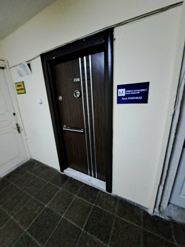 Tax consultants Independent Accountant Financial Advisor Ayse Kalemkas, Izmir, photo