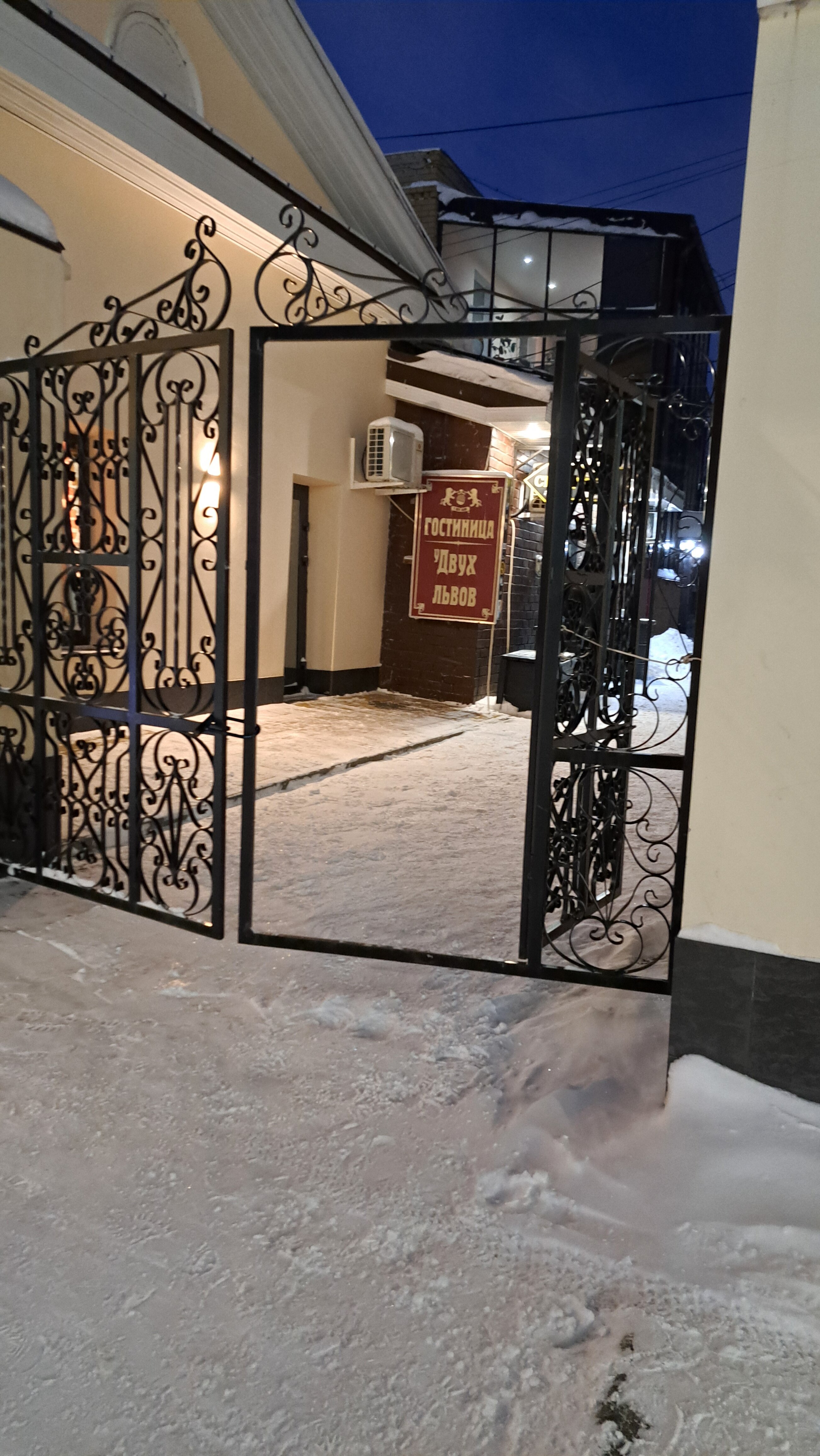 Фото У двух львов