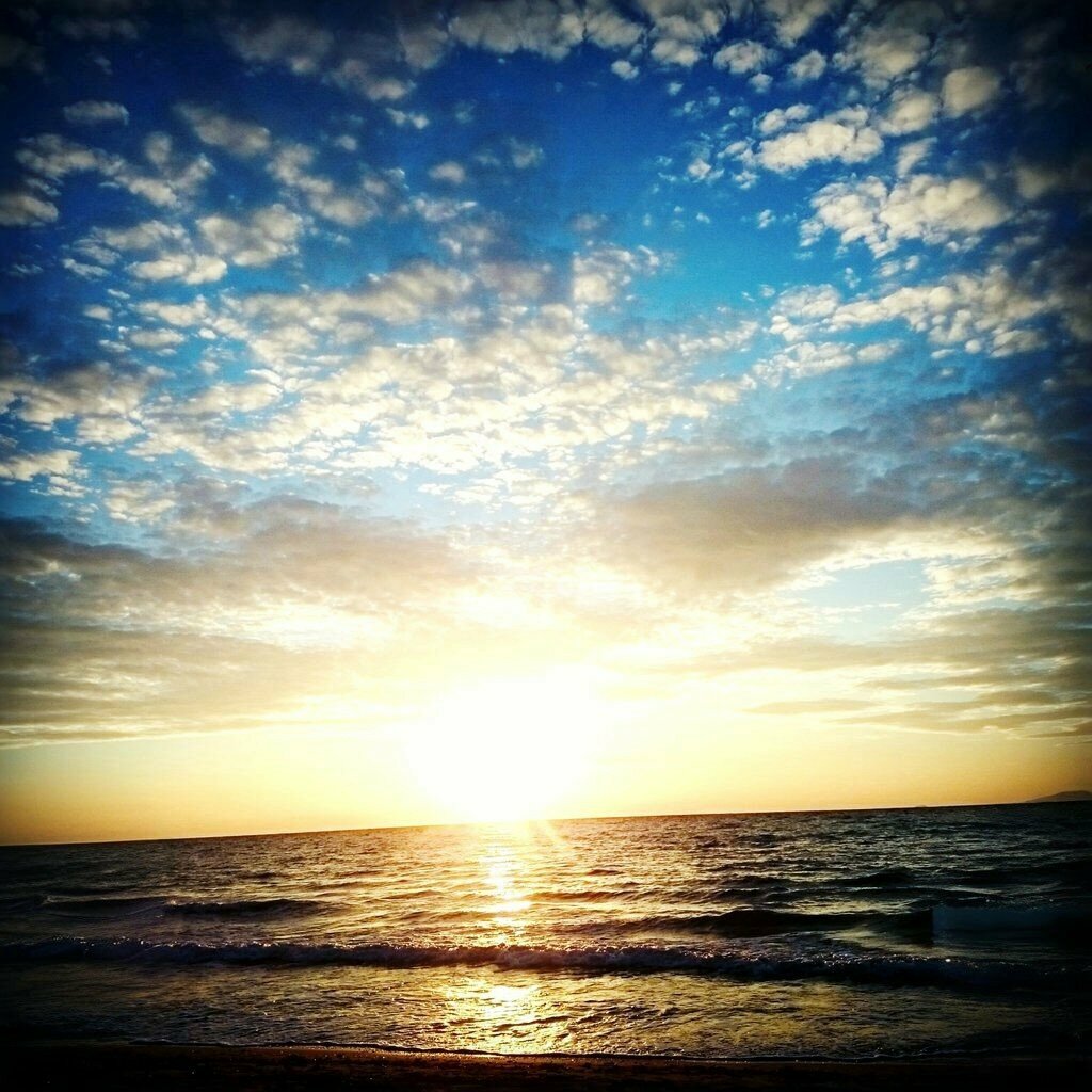 Real estate agency Alim Emlak Didim, Didim, photo