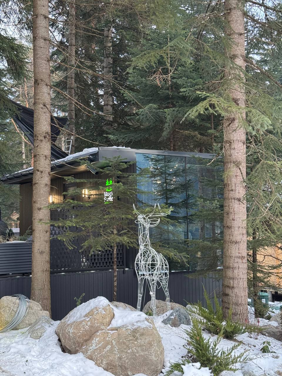 Фото Magic Forest