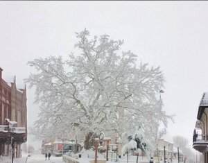 Altin Park (Burdur, Ağlasun, Altın Park), park