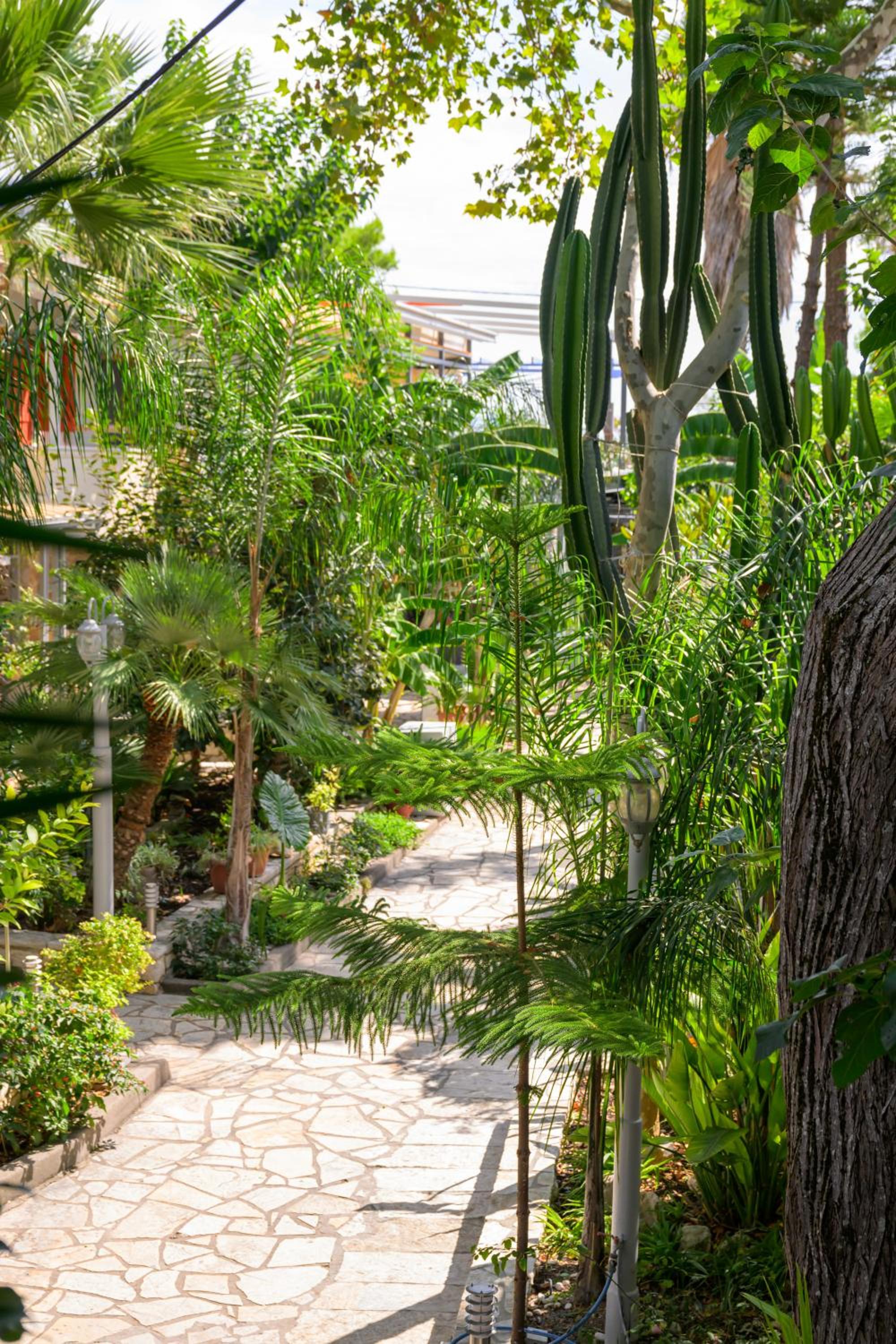 Фото Rouda Bay Beach Hotel