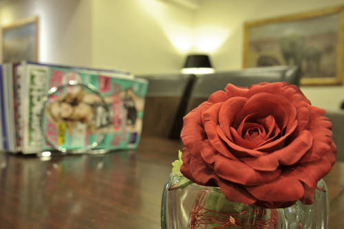 Фото Golden Tulip Zoetermeer - Den Haag