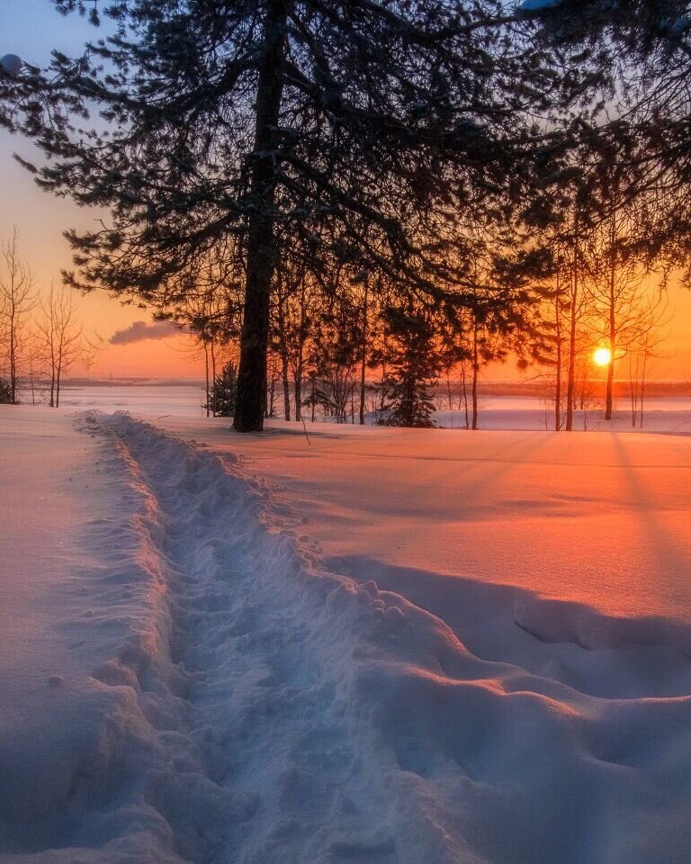 Фото Романовъ home