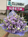 Clumba (posyolok gorodskogo tipa Afipskiy, Pushkina Street, 109) ، محل زهور