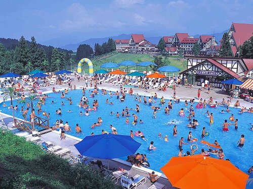 Гостиница Hotel Green Plaza Joetsu